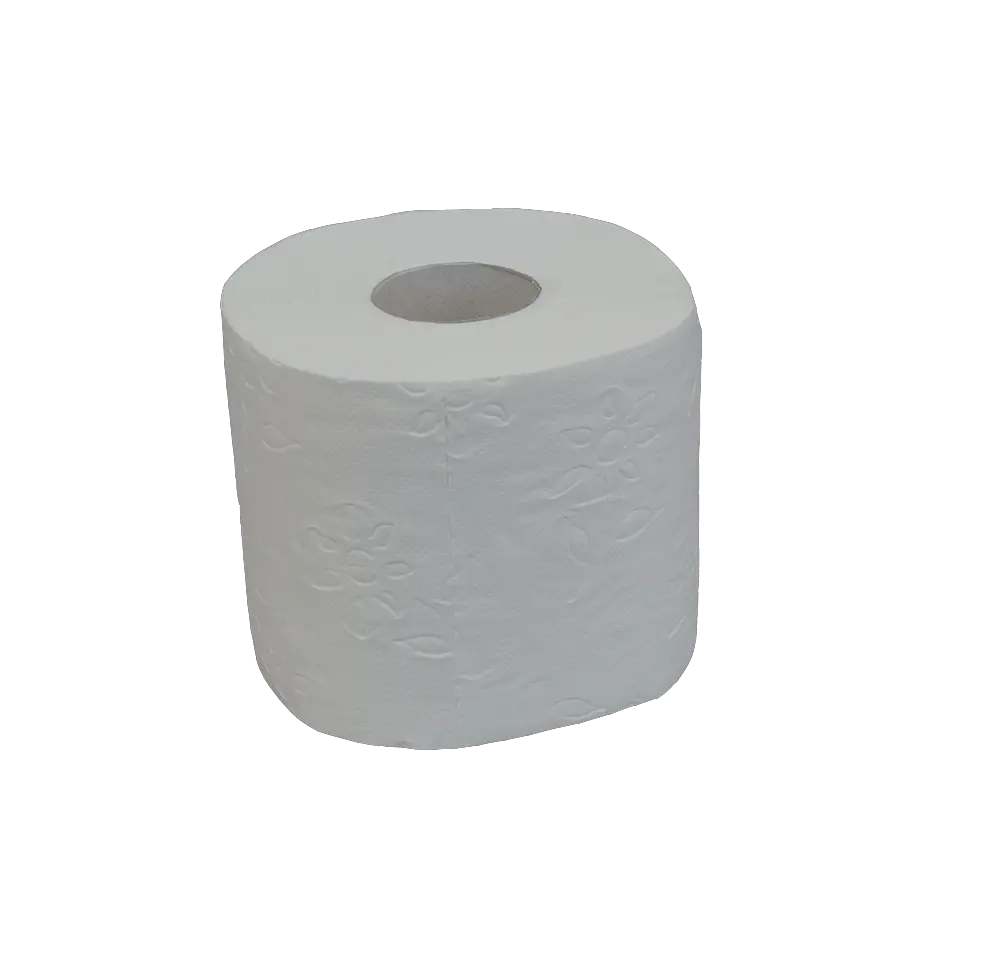 Toilet paper PNG