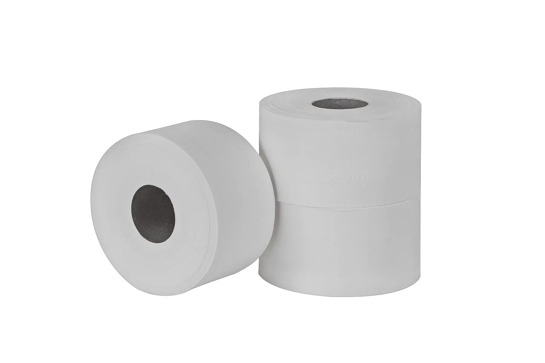 Toilet paper PNG