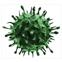 Virus PNG