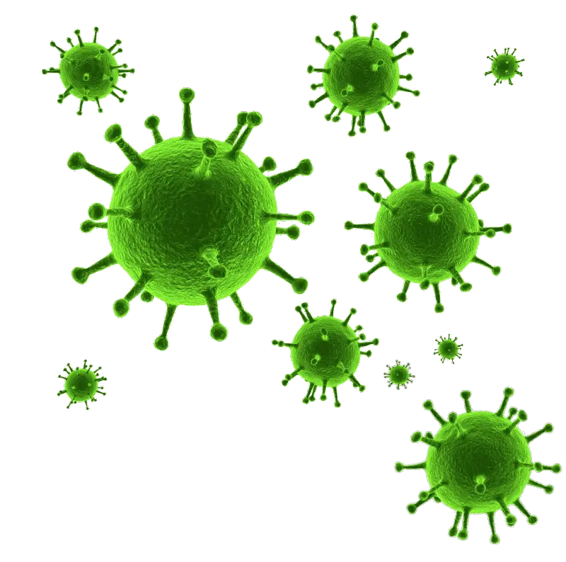 Virus PNG