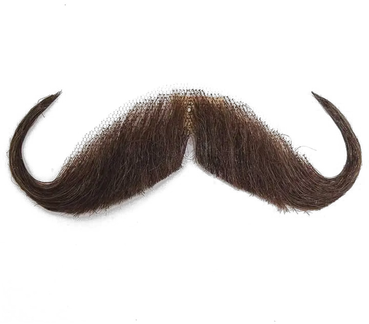 Moustache Png Image Background Mustache Png Transparent Background