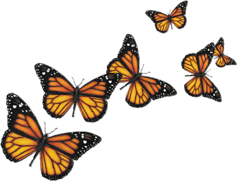 Blue Butterfly Flying Png Download Transparent Background Butterflies Png