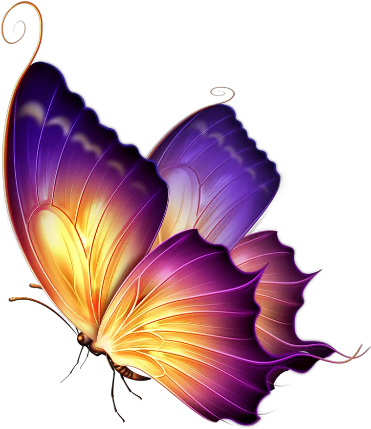 Editing Butterfly Png Download Butterfly Png For Editing