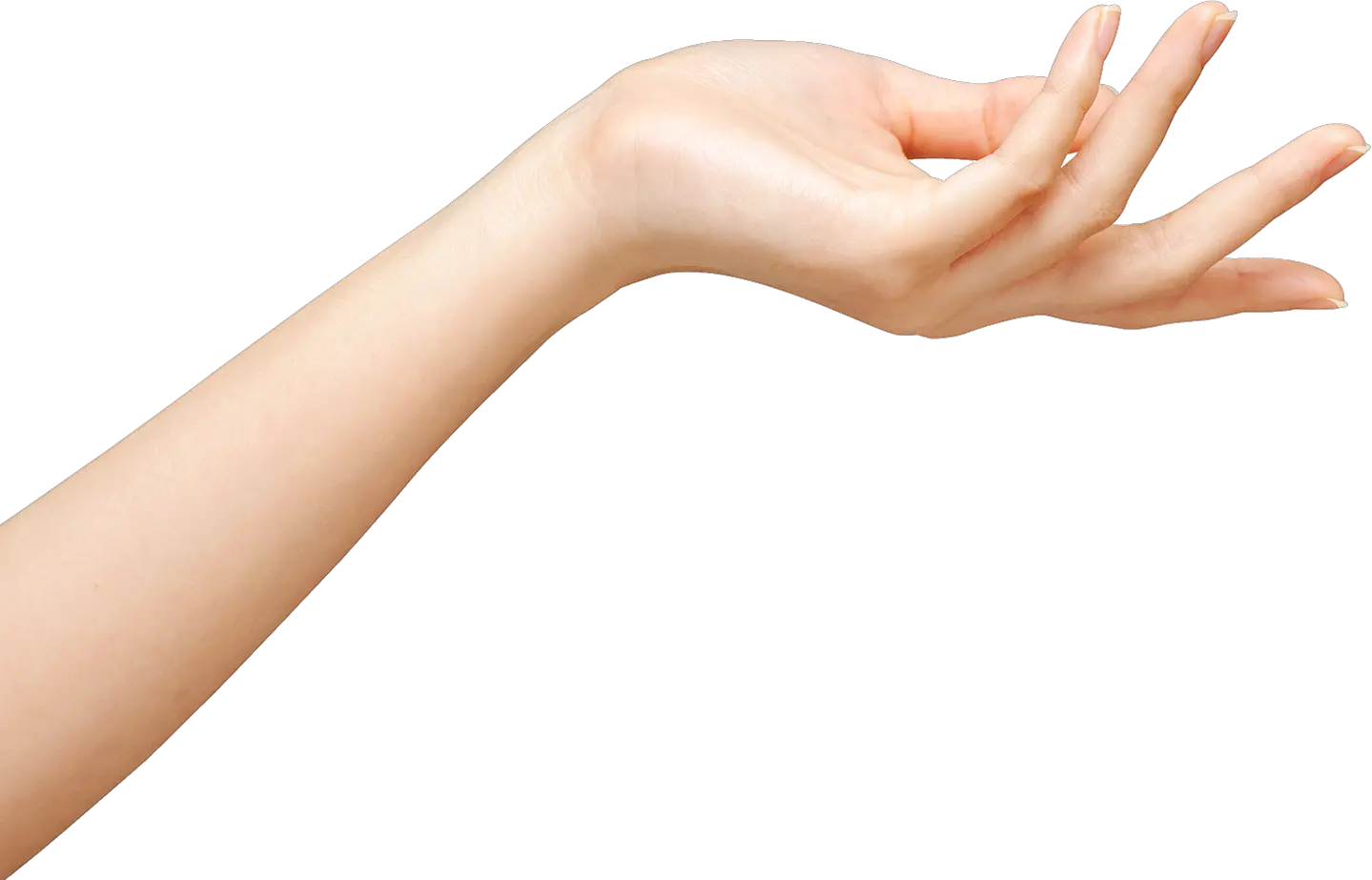 Transparent Transparent Hand Png Transparent Girls Hand Png