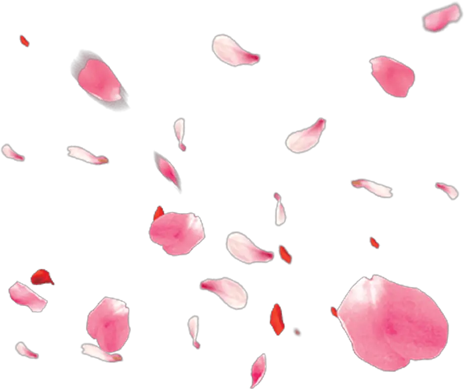 Petal Png - Falling Petals