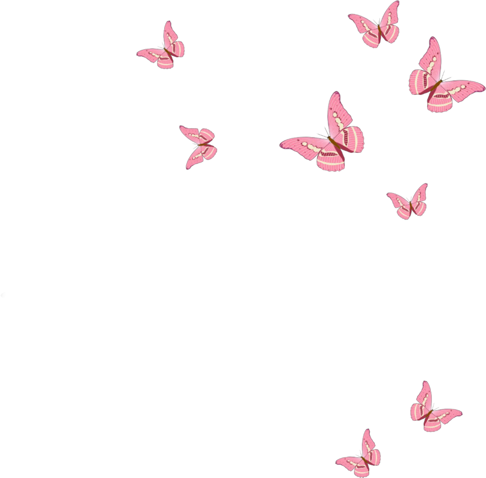 pink Butterfly Pink Butterfly Png