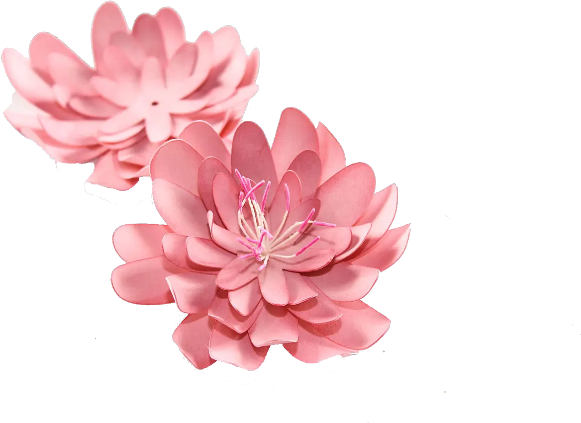 3d Flowers Free Png 3d Flower Png Free