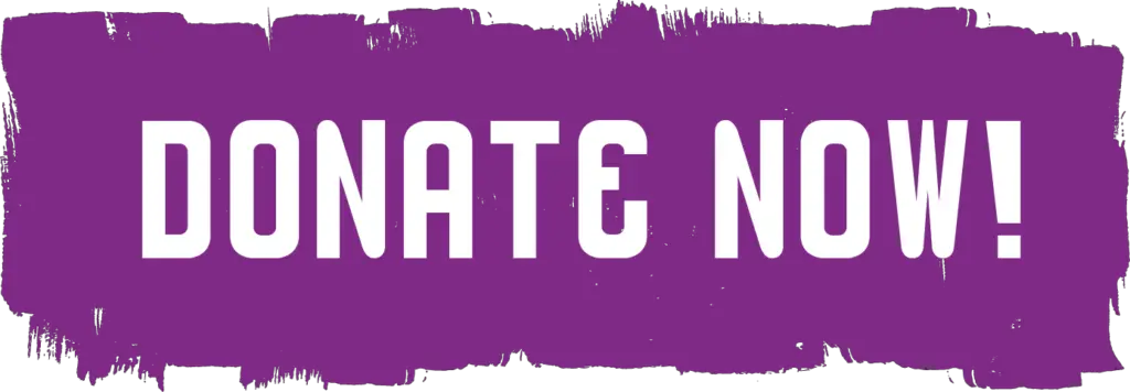 Donate Now Twitch Donation Button Png