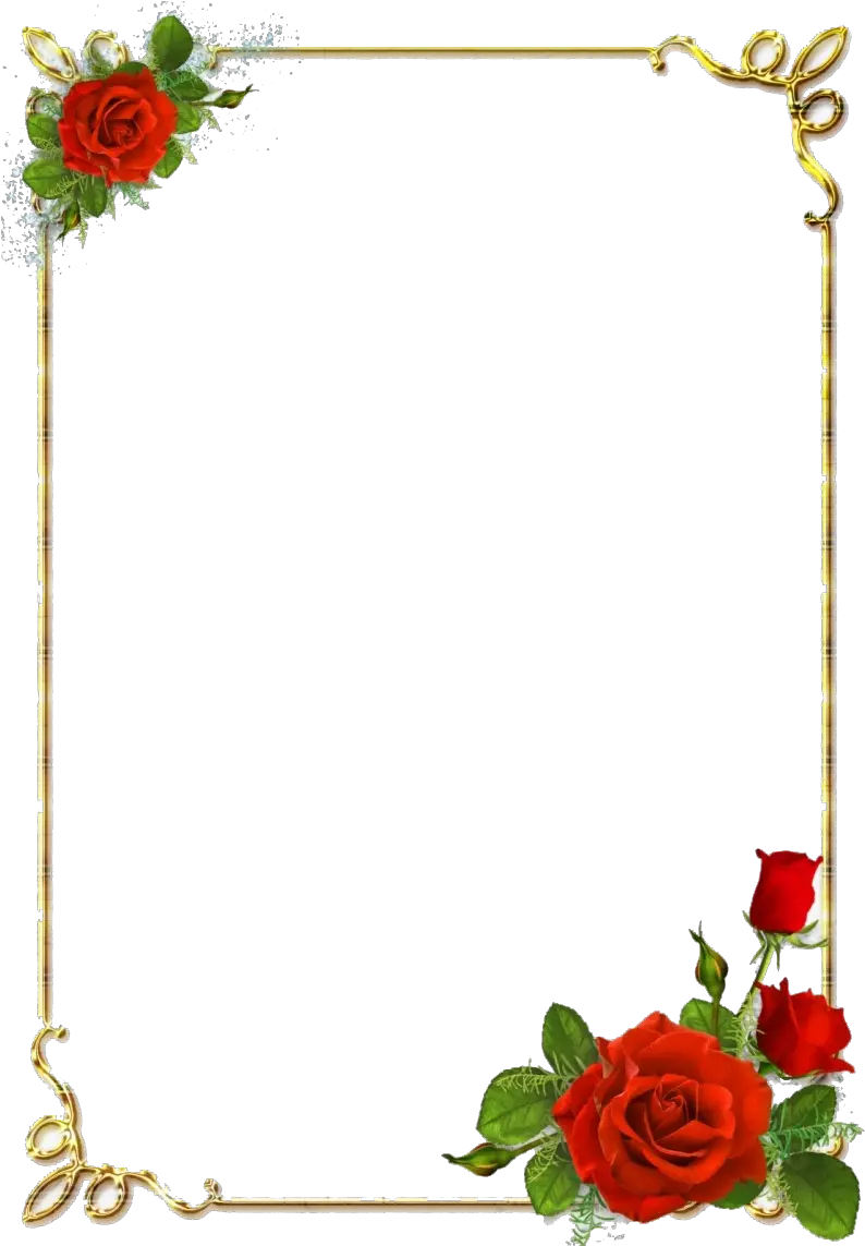 Border Designs Png Image Download Rose Flower Border Png