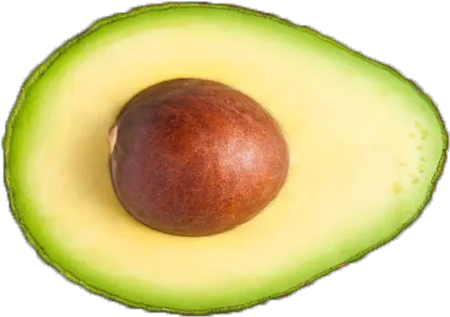 Features Avocado Png Download Avocado Transparent