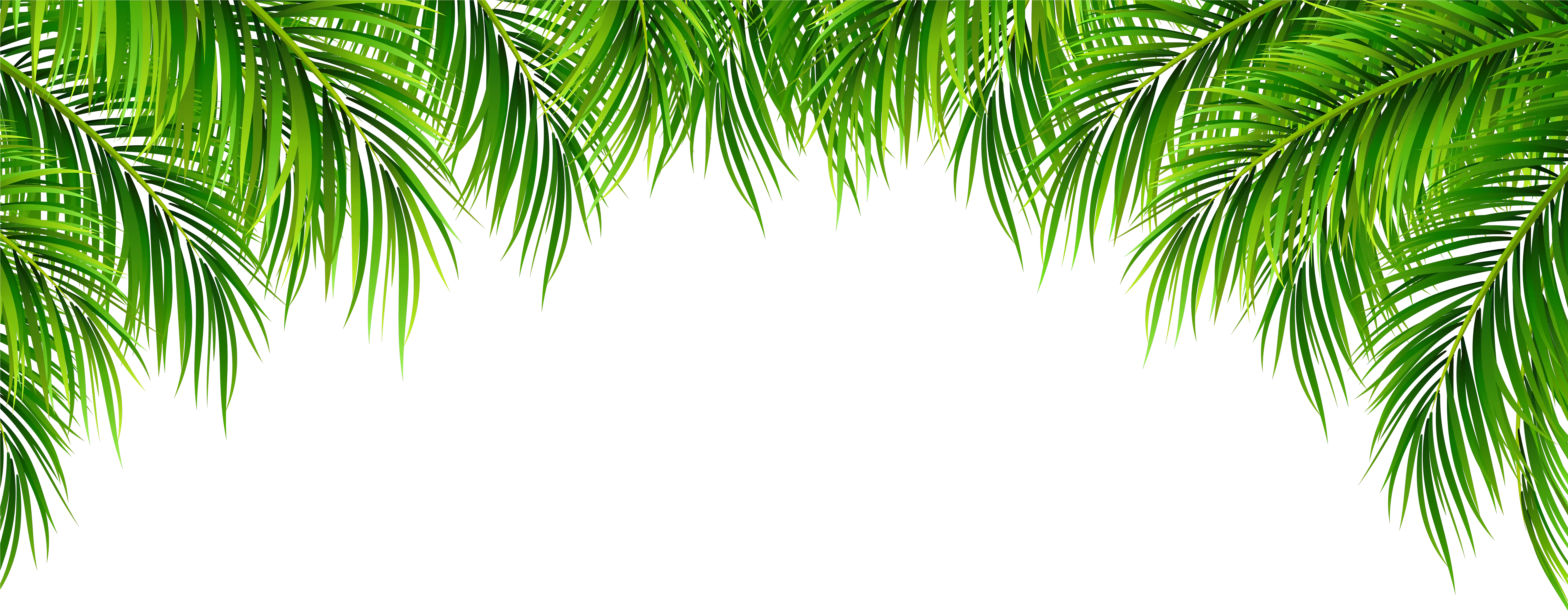 Tree Leaves Png Transparent Background Palm Leaves