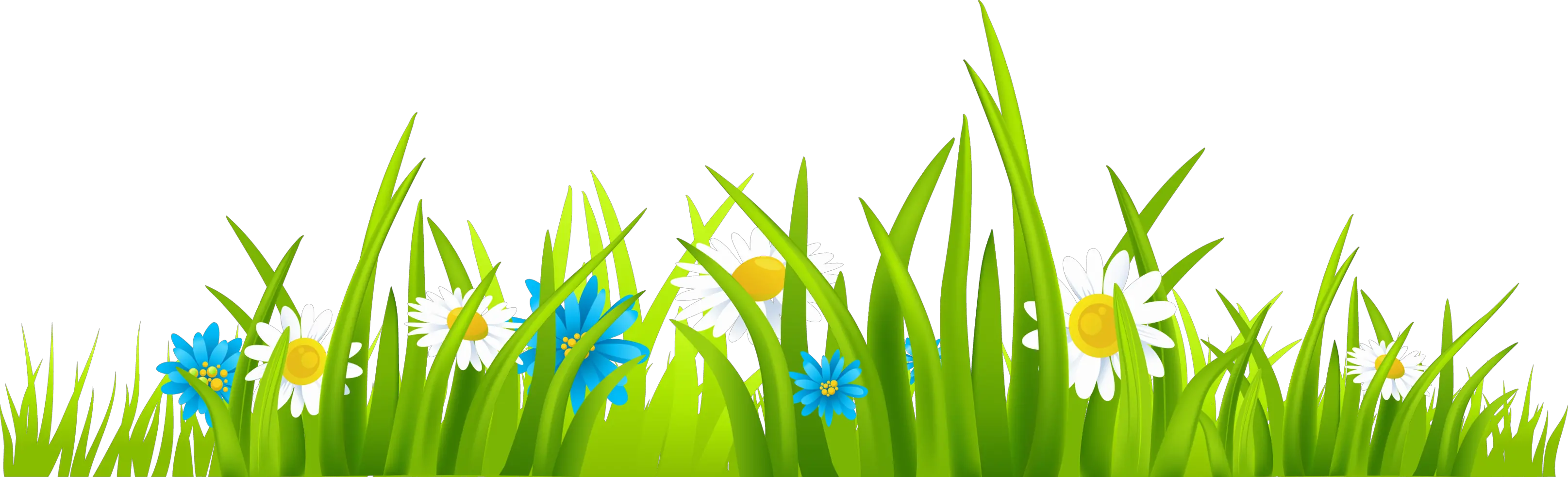 Cartoon Grass And Flowers Png Grass Clipart