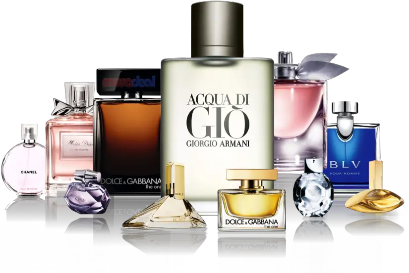 Perfume Banner All Brands