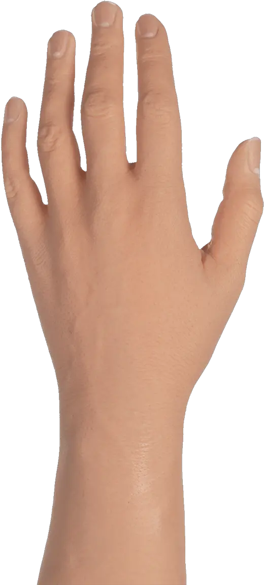 Female Hand Png Transparent Male Hand Png