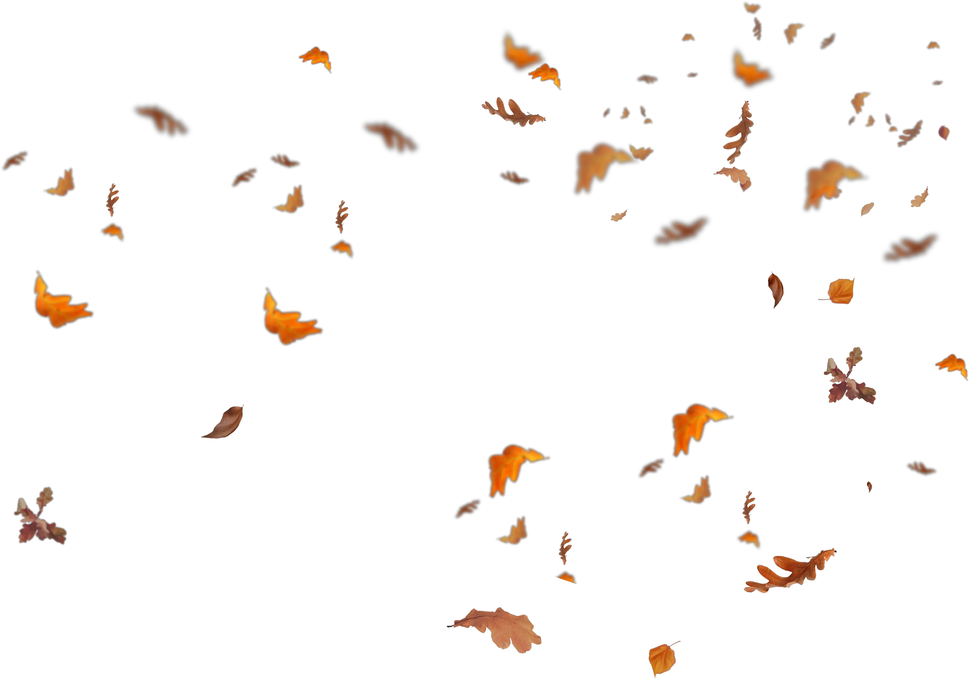 Falling Leaves Png Transparent Fall Leaves Overlay