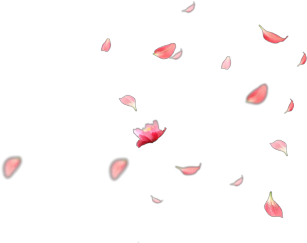 Transparent Falling Flowers Png Flowers Falling Gif Transparent