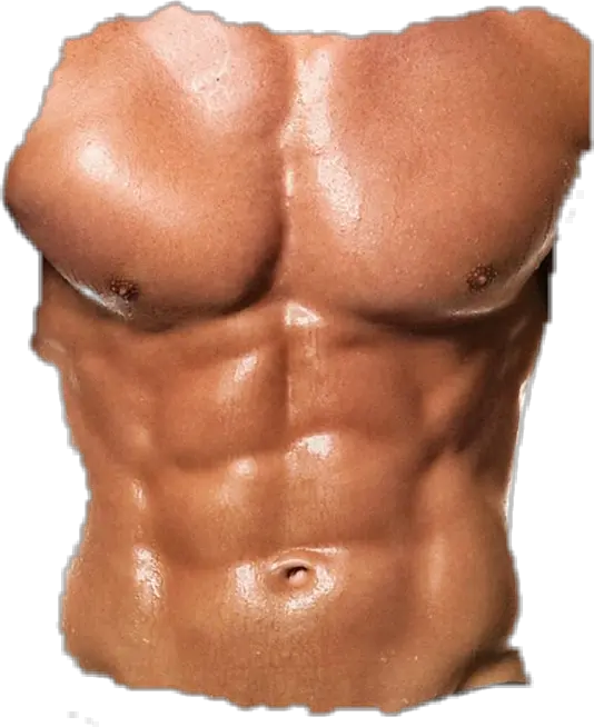 abs Best Body Build