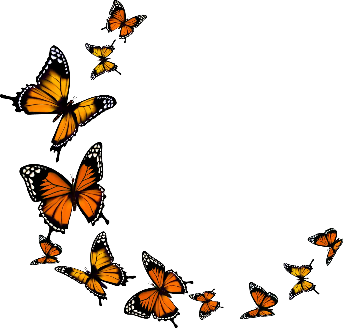 Butterfly Png Download Transparent Background Monarch Butterfly Clipart