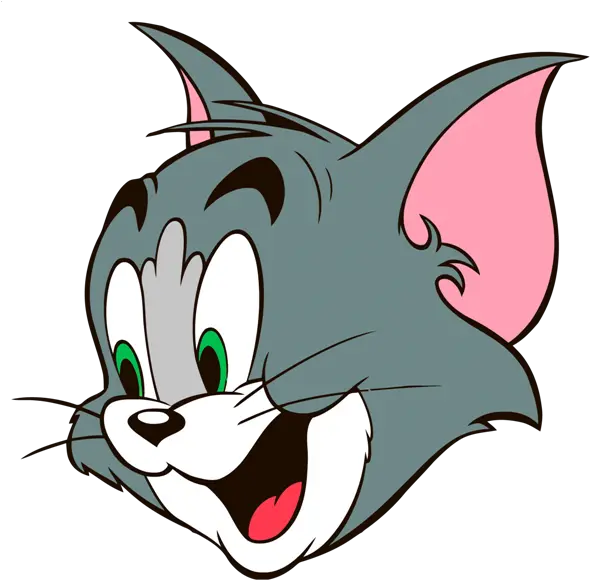 Cat Tom And Jerry