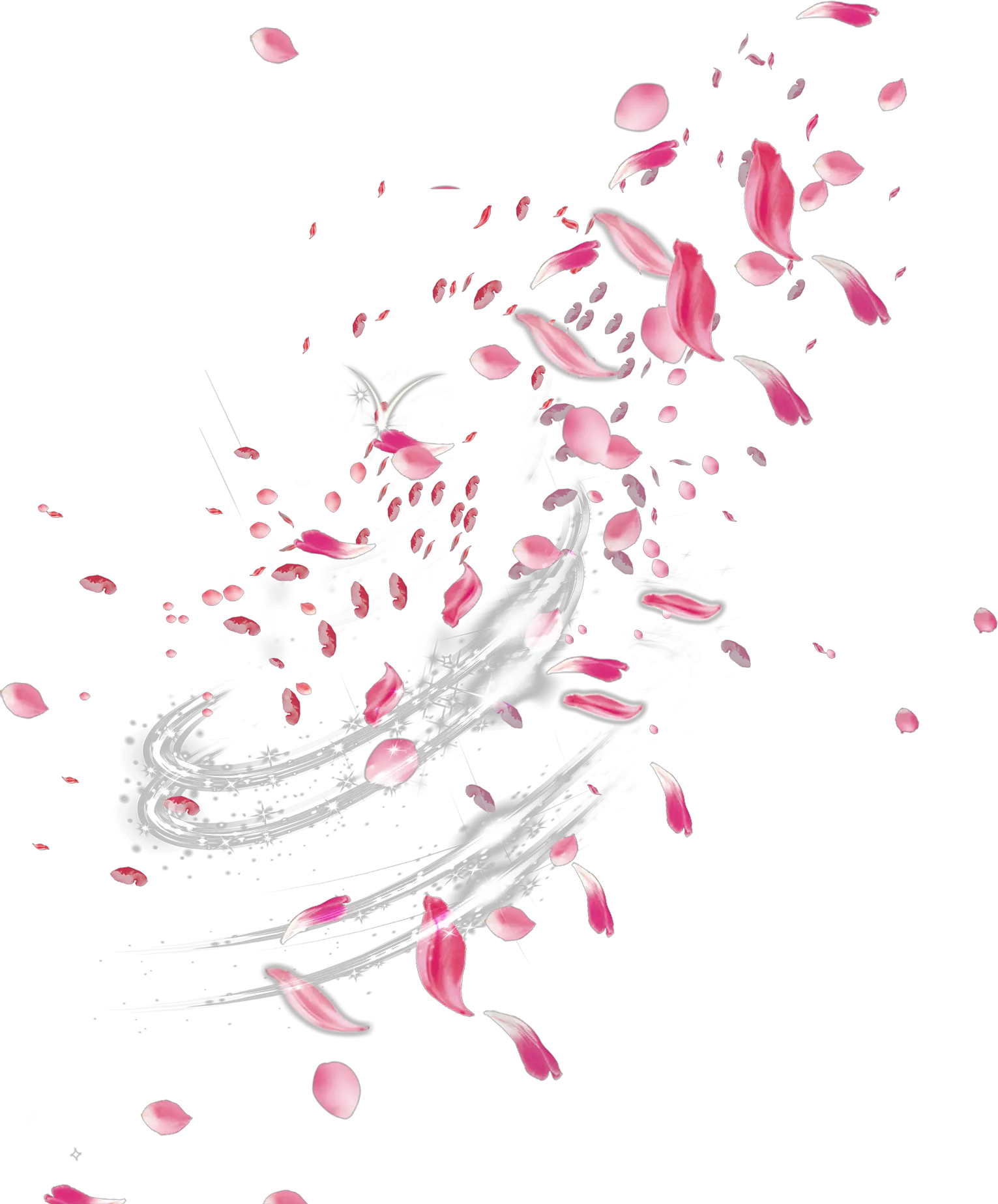 Pink Rose Petals Png Transparent Flower Petal Png