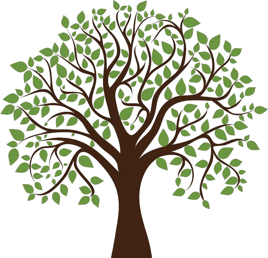 Family Tree Clipart Transparent Background