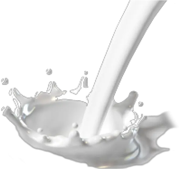 Milk Png Free Download Milk Splash Milk Pouring Transparent Background