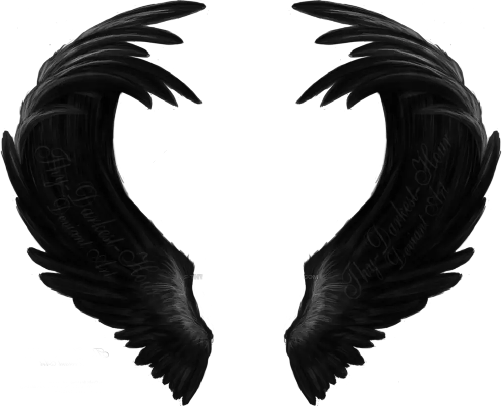 black wings freetoedit Angel Black Wing Art