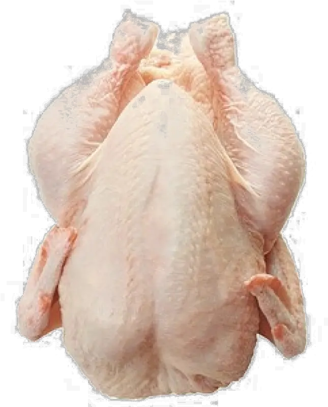 Chicken Meat Png Download Image Frozen Chicken