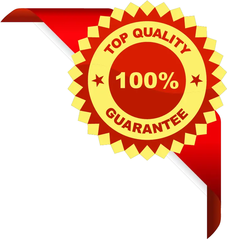 Best Quality Vector Png