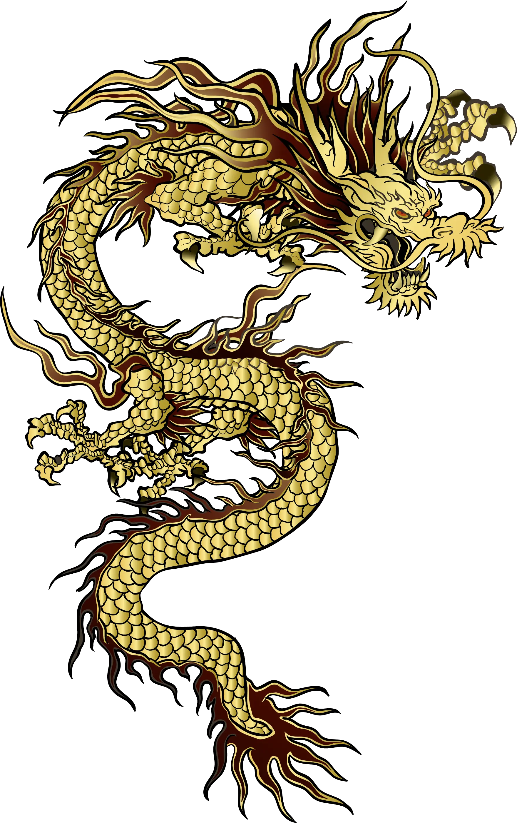 Transparent Asian Dragon Png Japanese Dragon Tattoo Design