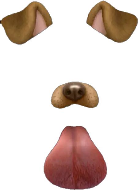 Dog Filter Png Snapchat Dog Filter