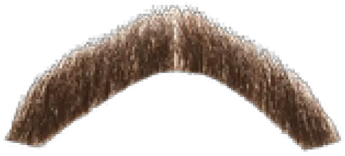 Moustache Png Transparent Images Freddie Mercury Mustache Png