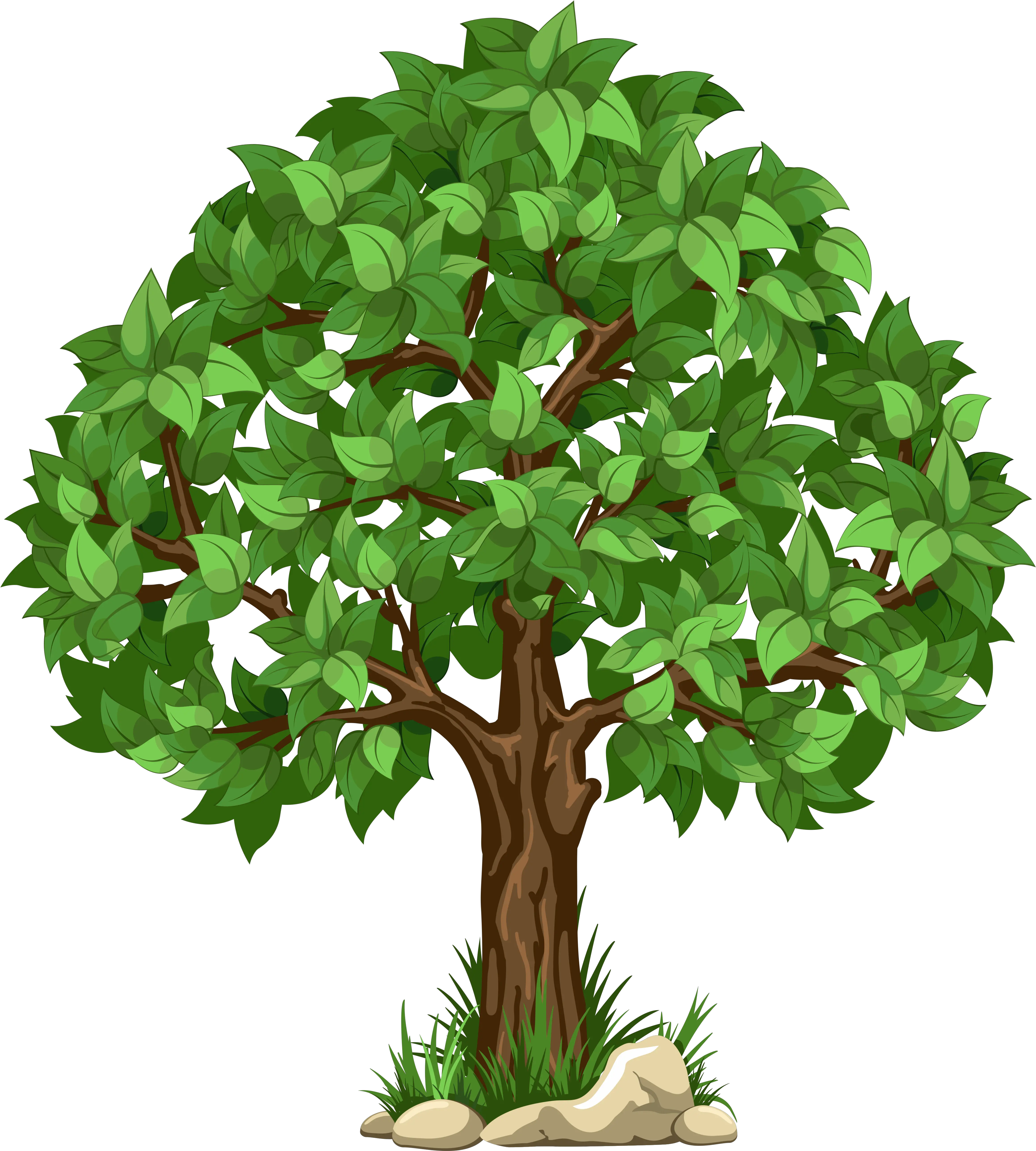 A Transparent Tree White Transparent Transparent Background Tree Clipart