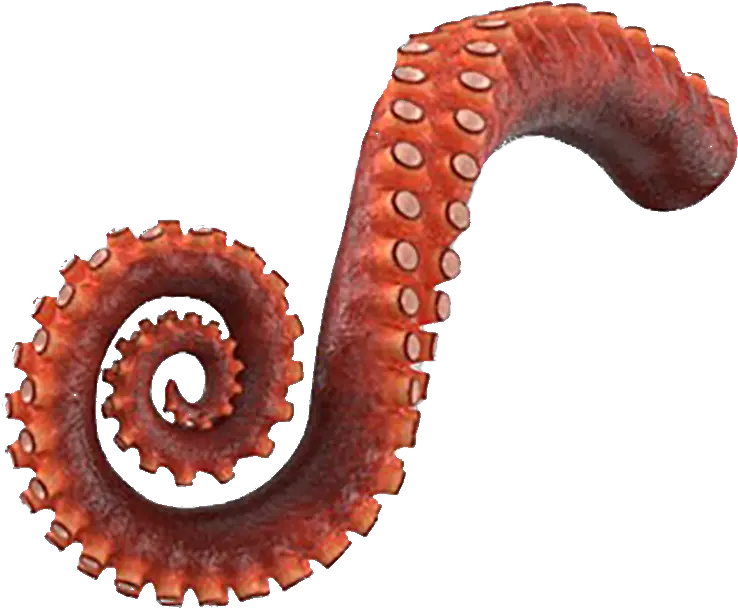 Octopus Tentacle Png