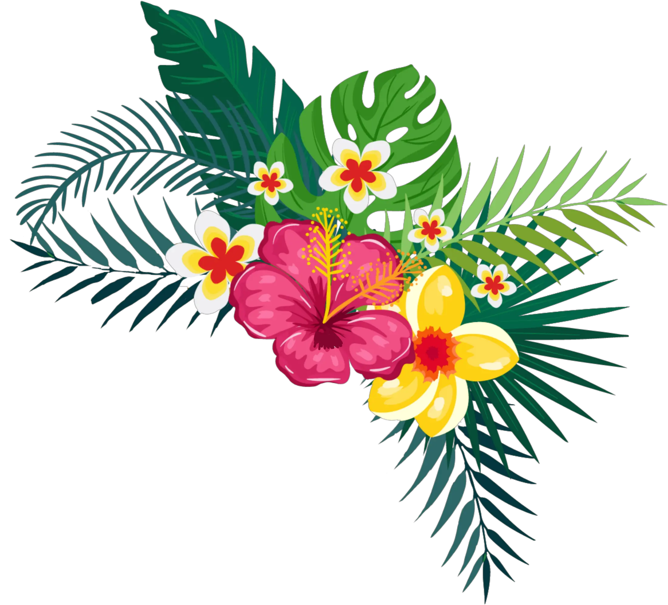 tropical summertime summerfun palm tree palmera Watercolor Flower Background Hd