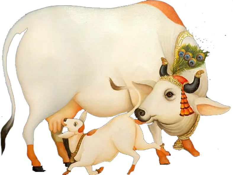 ऐसी है मेरी भगवती गौ माता Cow With Krishna Png