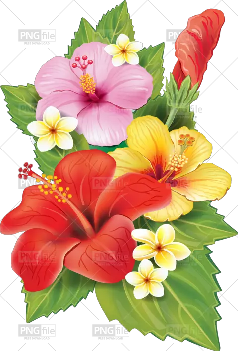 Transparent Background Tropical Flowers Png