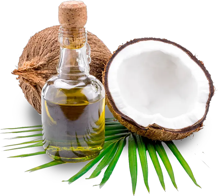 Thenarasu Coconut Oil Transparent Background Coconut Oil Png