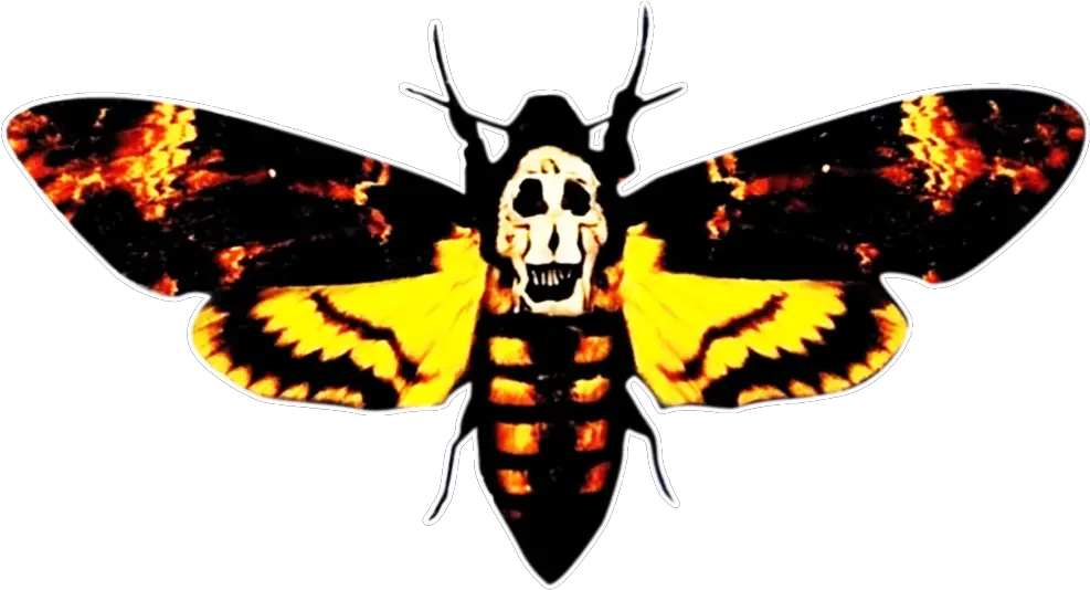 Transparent Moth Silence The Lamb Silence Of The Lambs Png