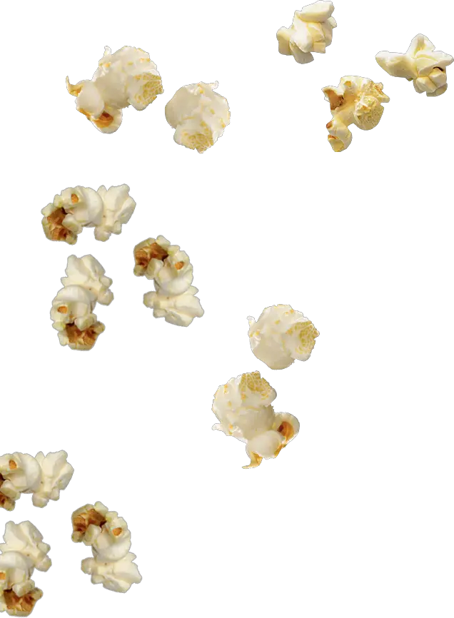 Bnr-inner Popcorn Png