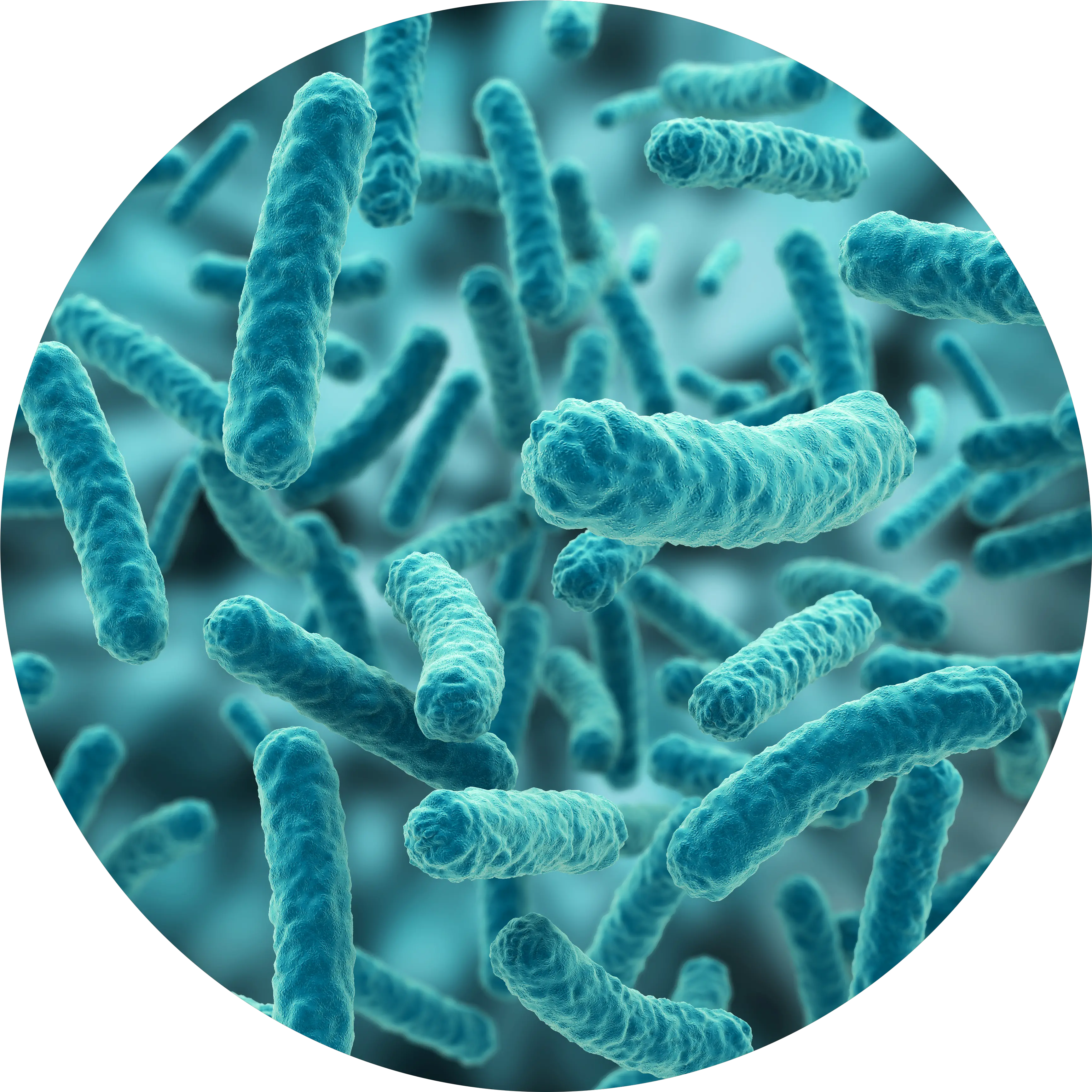 Bacteria Png Hd Transparent Bacteria Png