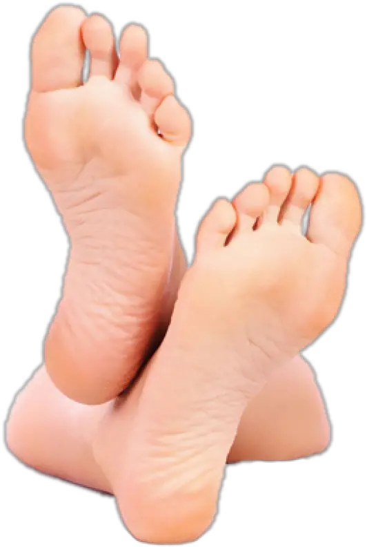 Leg Png Free Download Transparent Background Feet Png