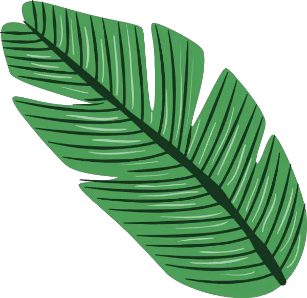 Tropical Leaves Png Vector