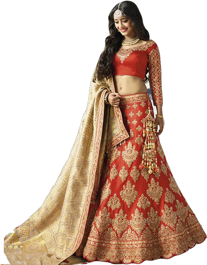 Blue Indian Wedding Lehenga