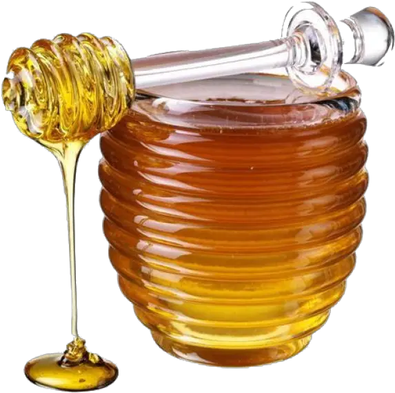 Honey Png Free Image Download Transparent Background Honey Png