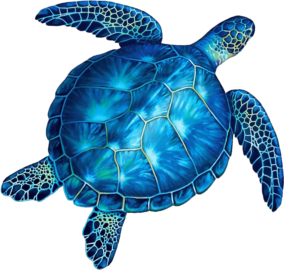 Turtle No Background Blue And Green Sea Turtles