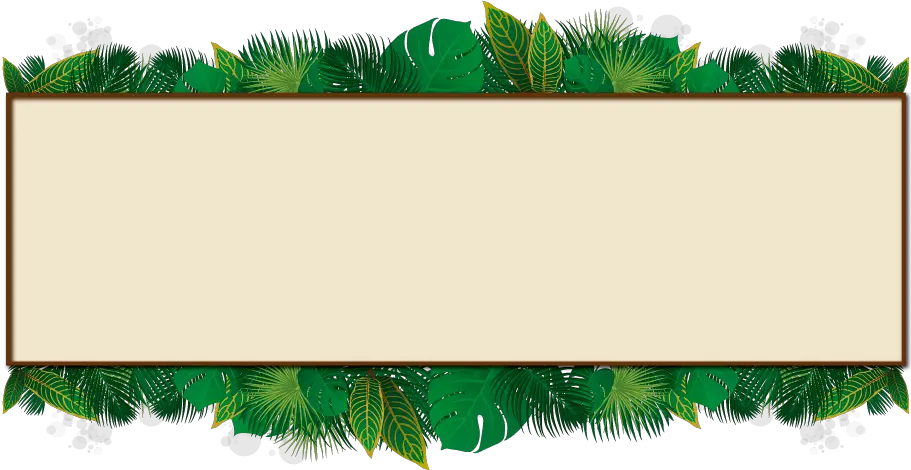 Xotikha Ecopark Png Transparent Jungle Frame Jungle Frame Png