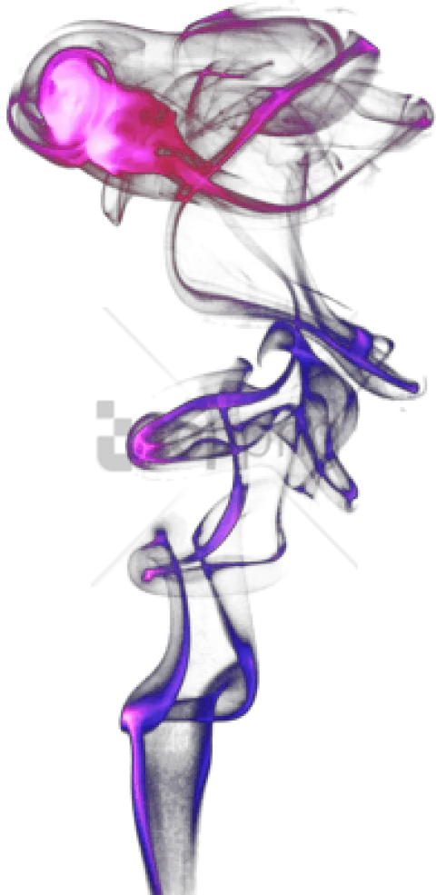 Free Png Color Smoke Png Png Image With Transparent Smoke Png Colorful Smoke Transparent Backgroun