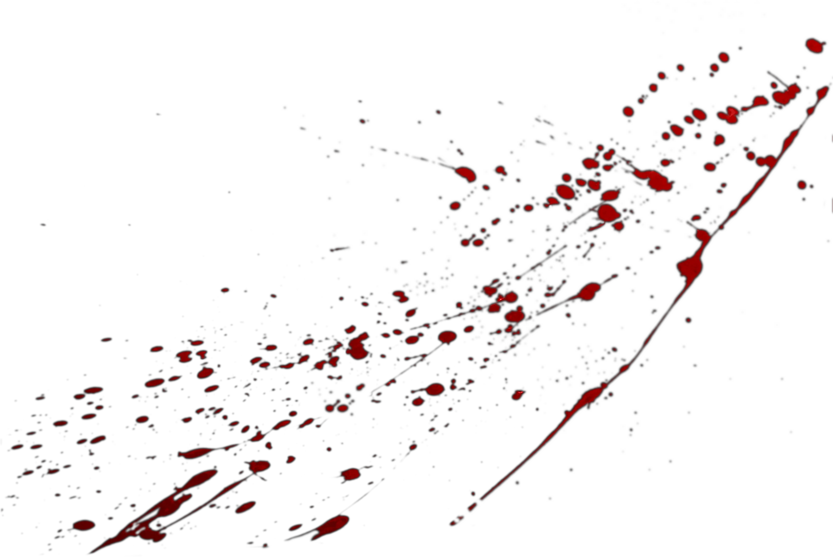 Blood Spatter