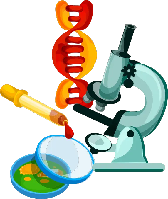 Chemistry Or Physics And Biology Science